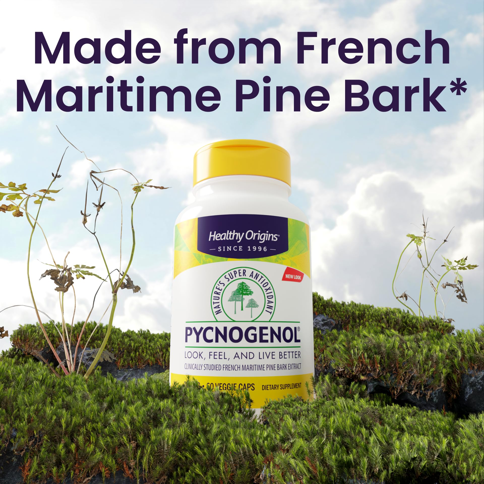 Healthy Origins Pycnogenol étiquette – origine forestière française et traçabilité
