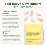 HealthyNest schéma nutritionnel par trimestre pour maman et bébé.
