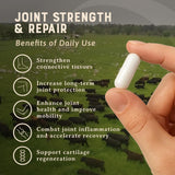 Heart & Soil Nutriments-collagene-peptides: soutien du tissu conjonctif et des mouvements