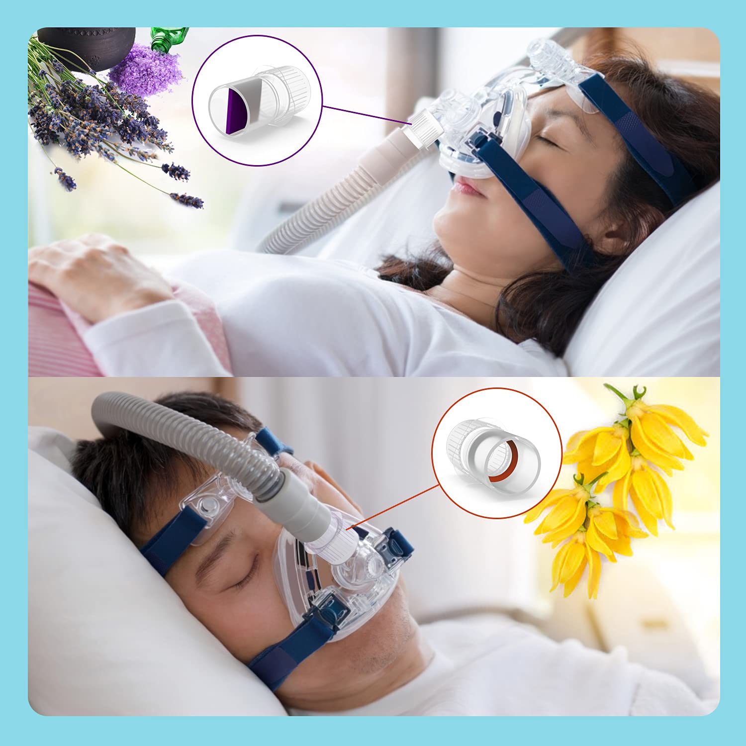 Pastilles remplies de six couleurs Heathorn pour aromathérapie nocturne.