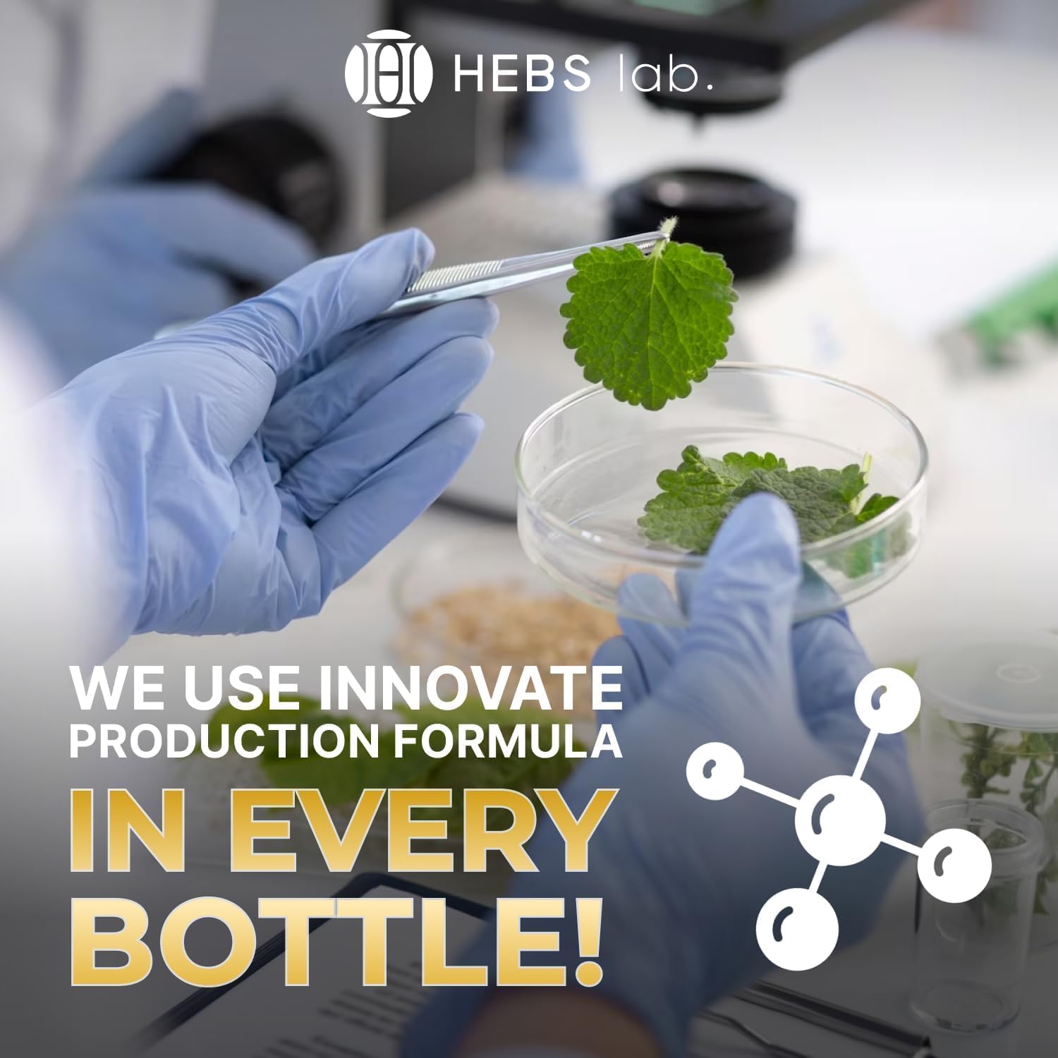 HEBS LAB métabolisme stimulé, énergie pour les entraînements.