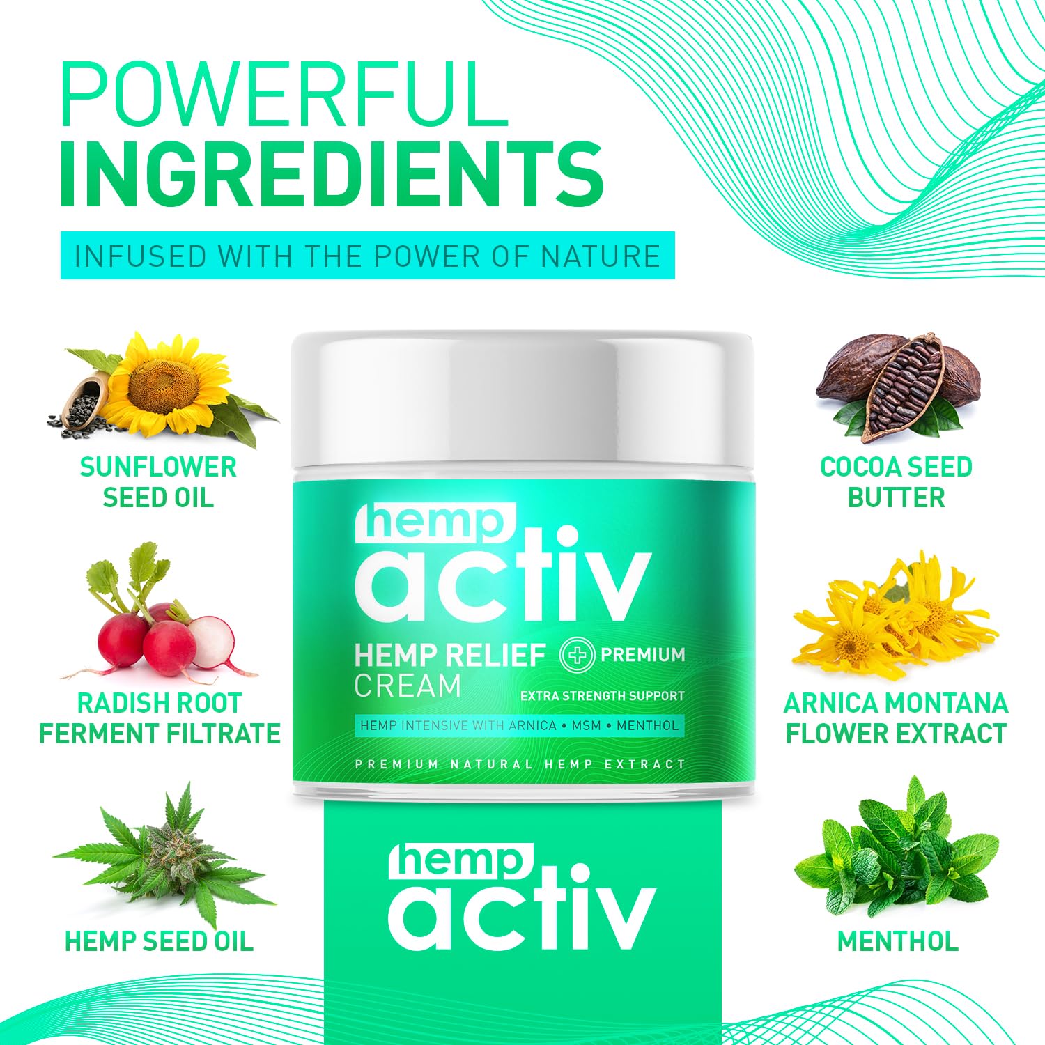 Hemactiv Crème MSM Arnica : ingrédients clés pour le confort après l effort.