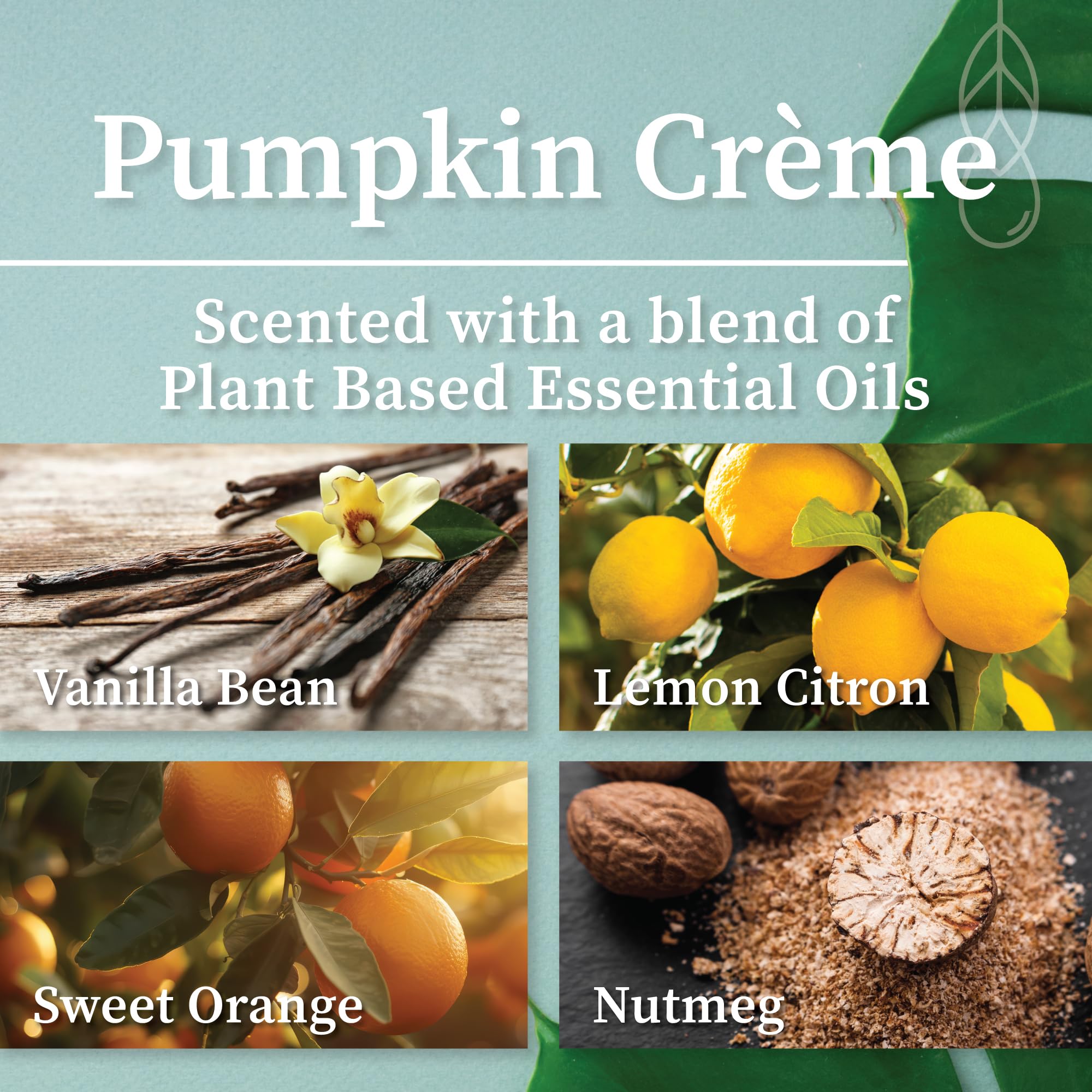 Détail de mèche crepitante Hemlock Park et cire coco naturelle pour une combustion propre.