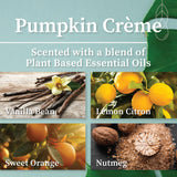 Détail de mèche crepitante Hemlock Park et cire coco naturelle pour une combustion propre.