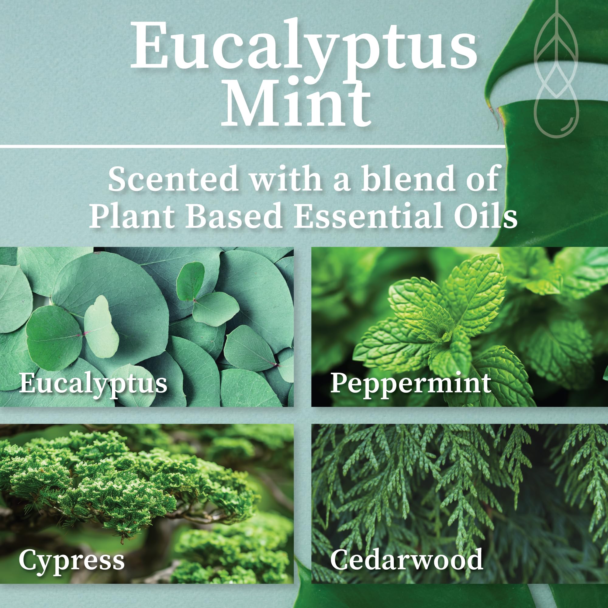 Bougie Hemlock Park cire coco naturelle parfum menthe eucalyptus frais.