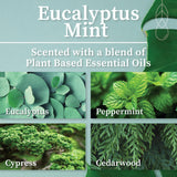 Bougie Hemlock Park cire coco naturelle parfum menthe eucalyptus frais.