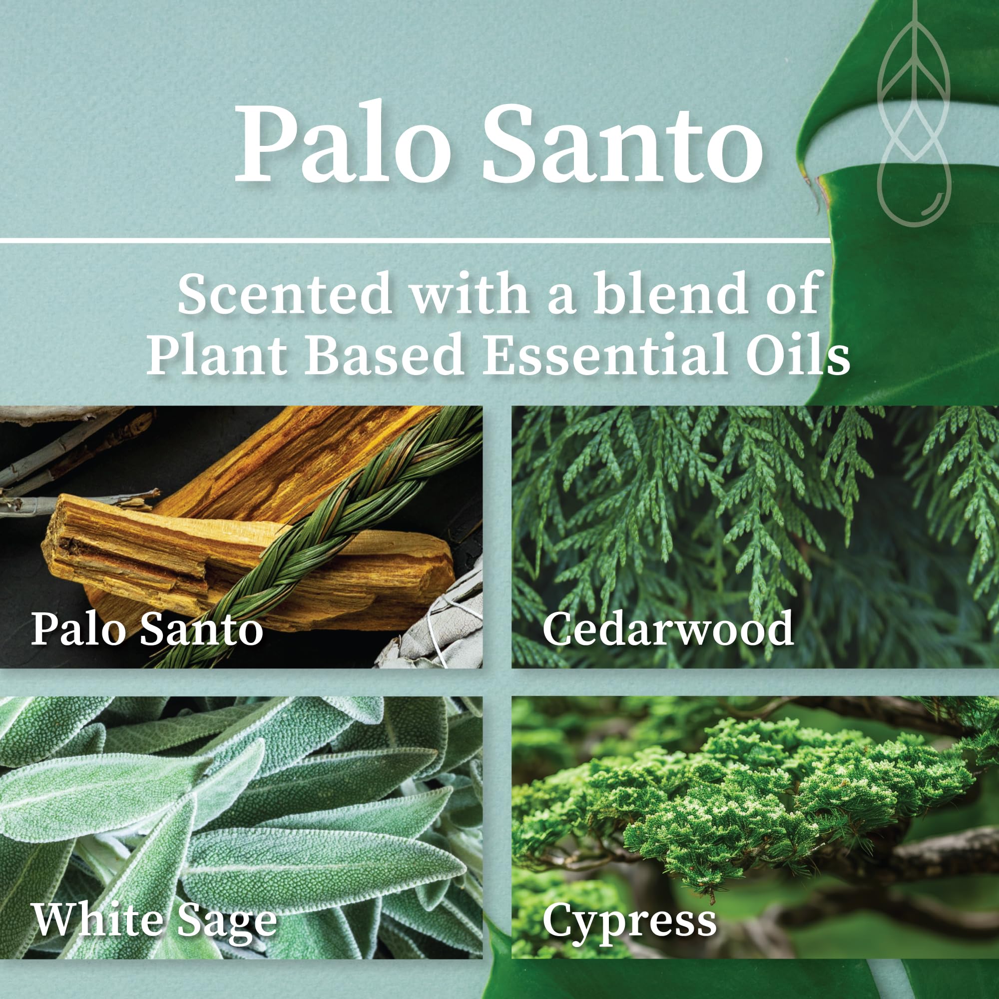 Bougie Hemlock Park Cire coco naturelle — Effluves subtils pour une atmosphère apaisante.