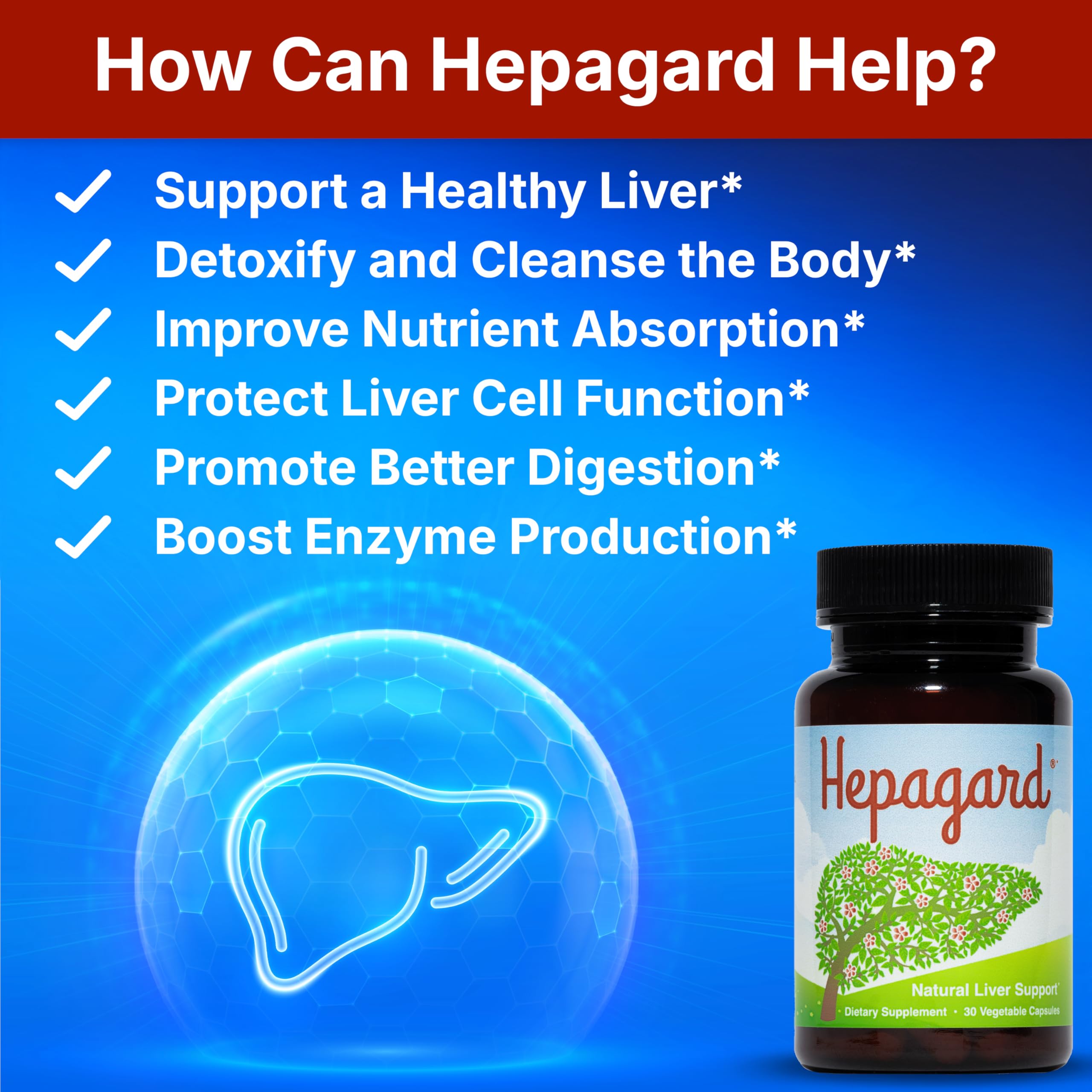 Hepagard: image du chardon-Marie pour soutenir la digestion et l'absorption des nutriments.