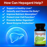 Hepagard: image du chardon-Marie pour soutenir la digestion et l'absorption des nutriments.