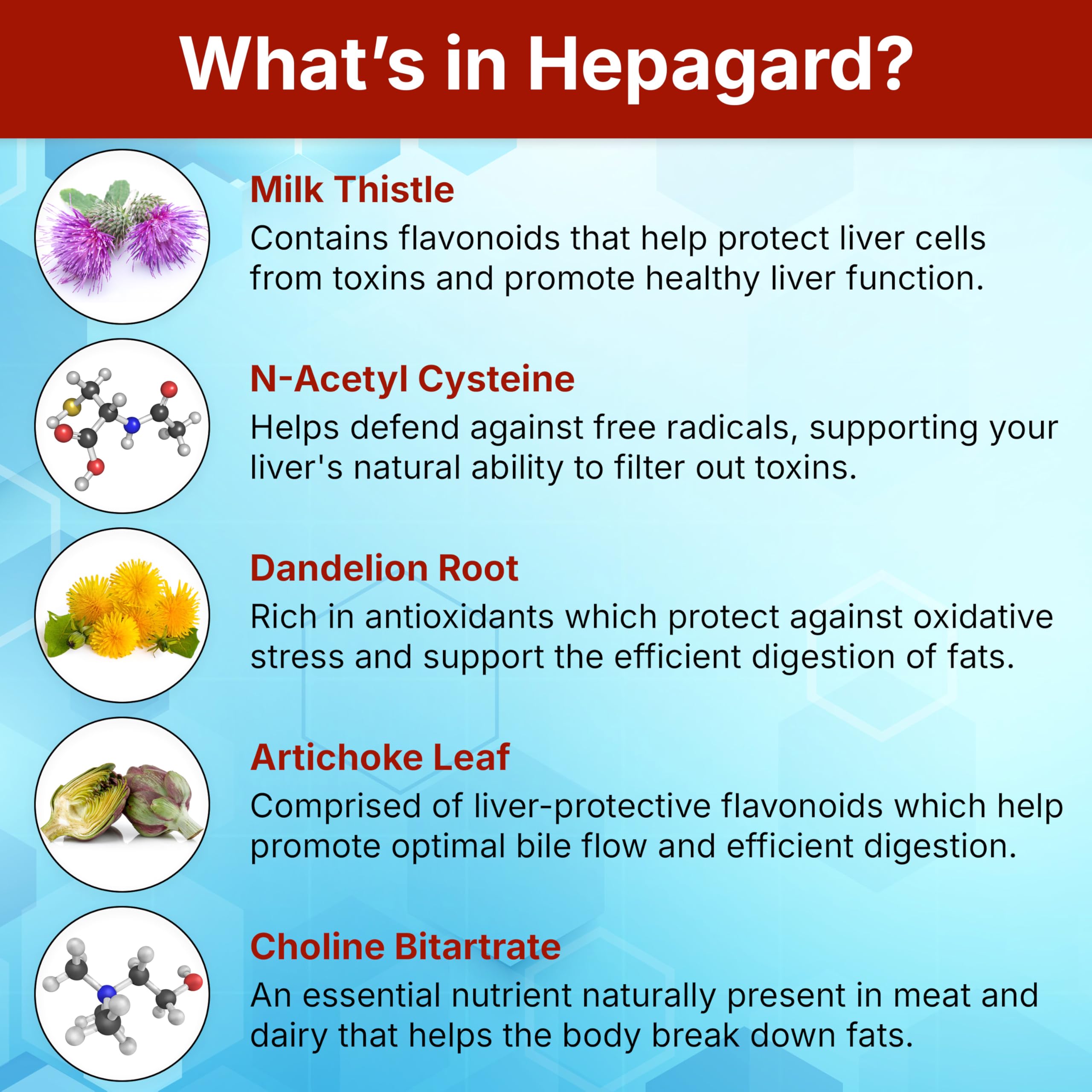 Hepagard: racine de pissenlit, ingrédient naturel pour la purification.