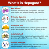 Hepagard: racine de pissenlit, ingrédient naturel pour la purification.
