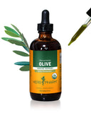 Herb Pharm bouteille-extrait-feuille-olivier bio, soutien potentiel du système immunitaire.