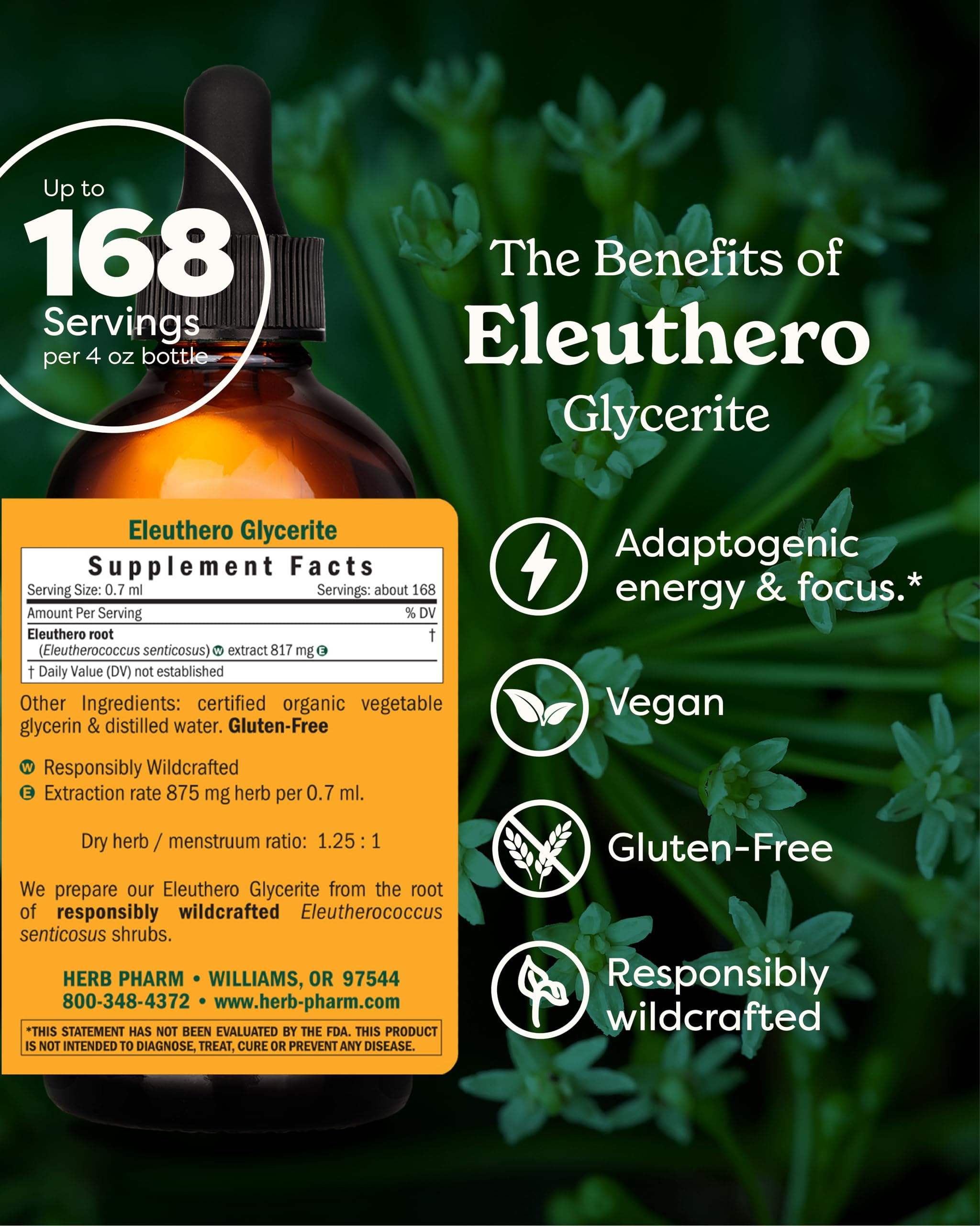 Herb Pharm Eleuthero – racines cueillies de façon responsable pour l’authenticité.