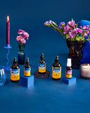 Herb Pharm Valériane: flacon et compte-gouttes facilitant une prise rapide au coucher.