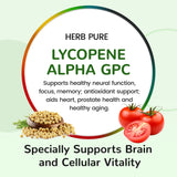 HERB PURE: sans OGM et sans gluten pour un mode de vie sain.