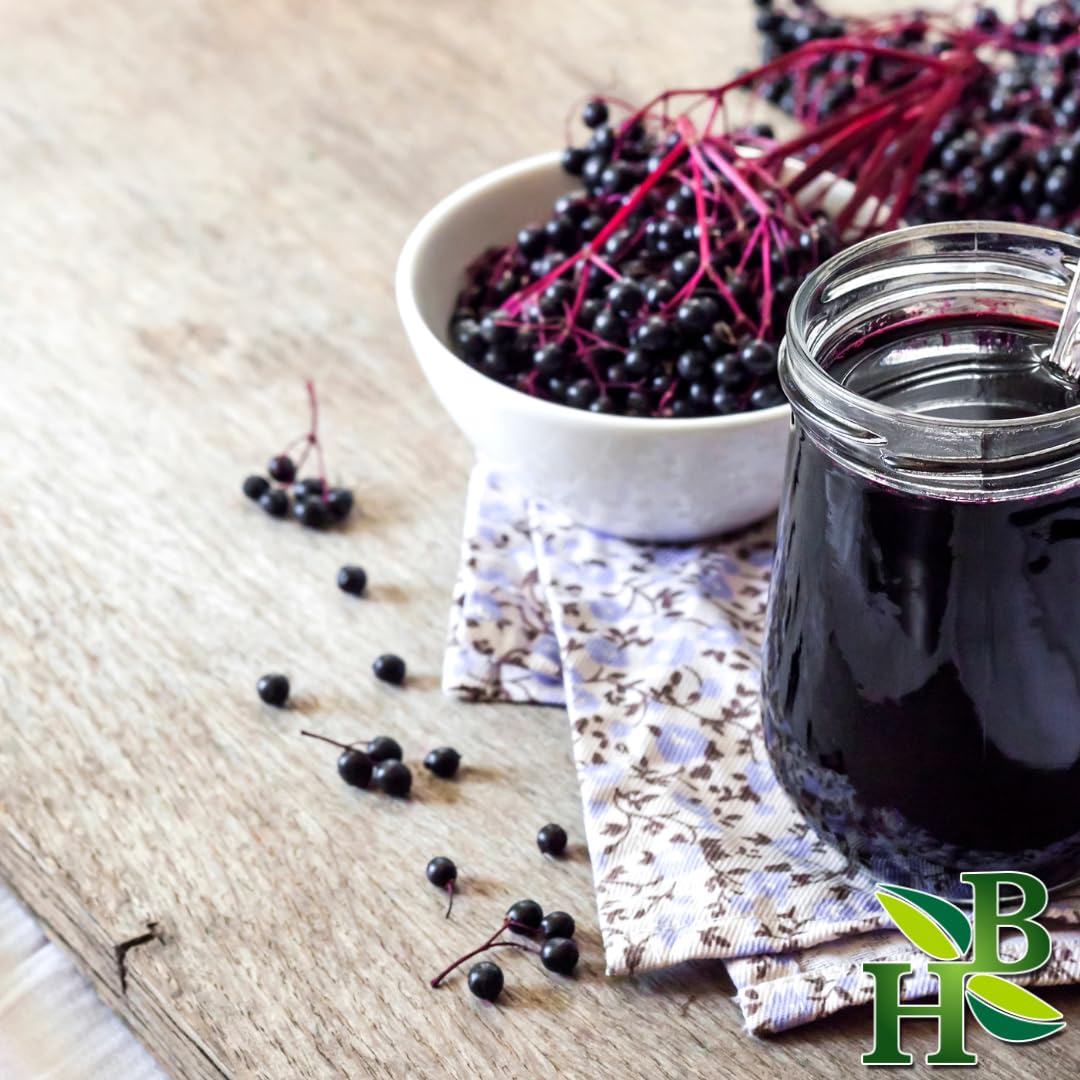Herb To Body Poudre de sureau pour boissons et préparations culinaires.