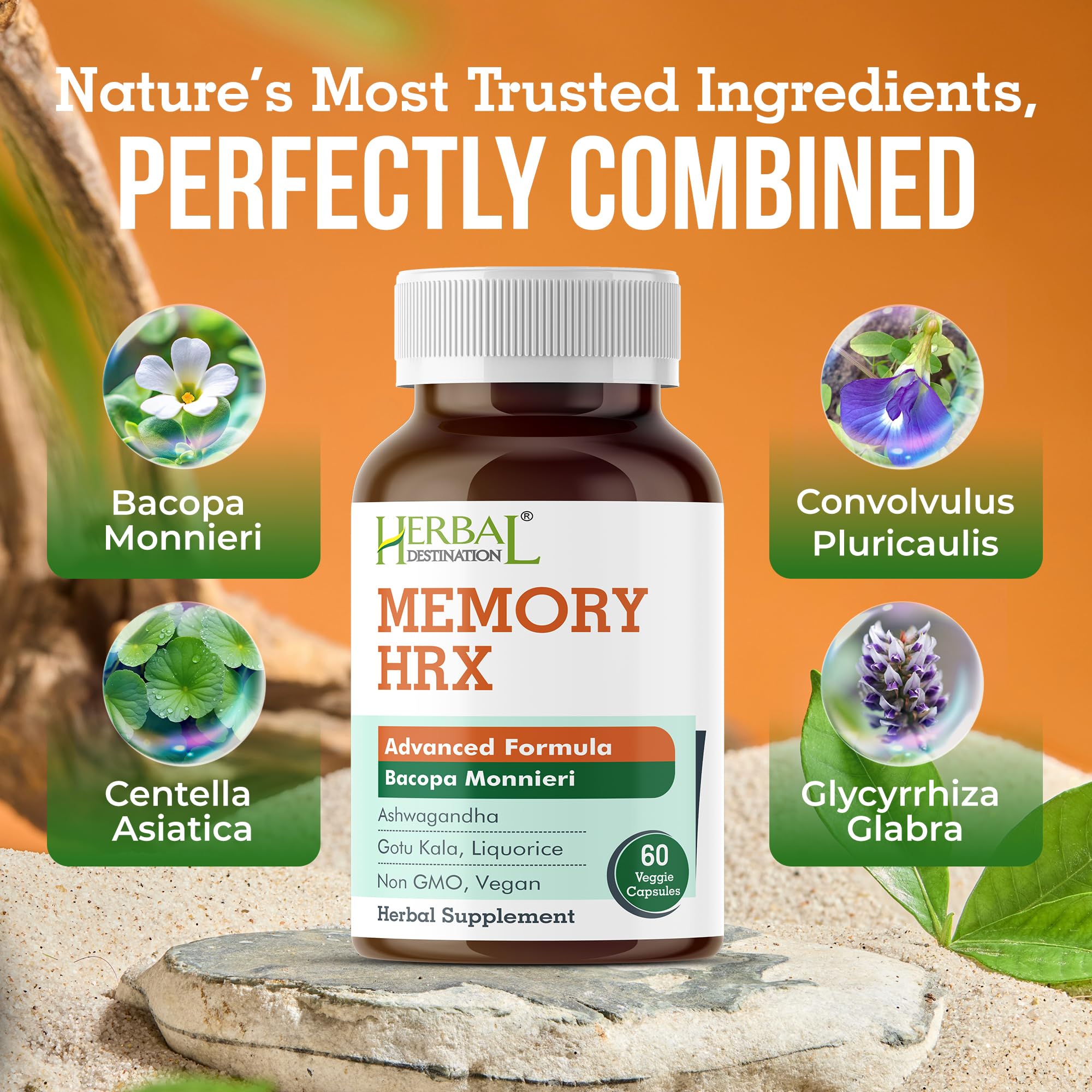 Herbal Destination Memory HRX : emballage sans lactose adapté à divers régimes.