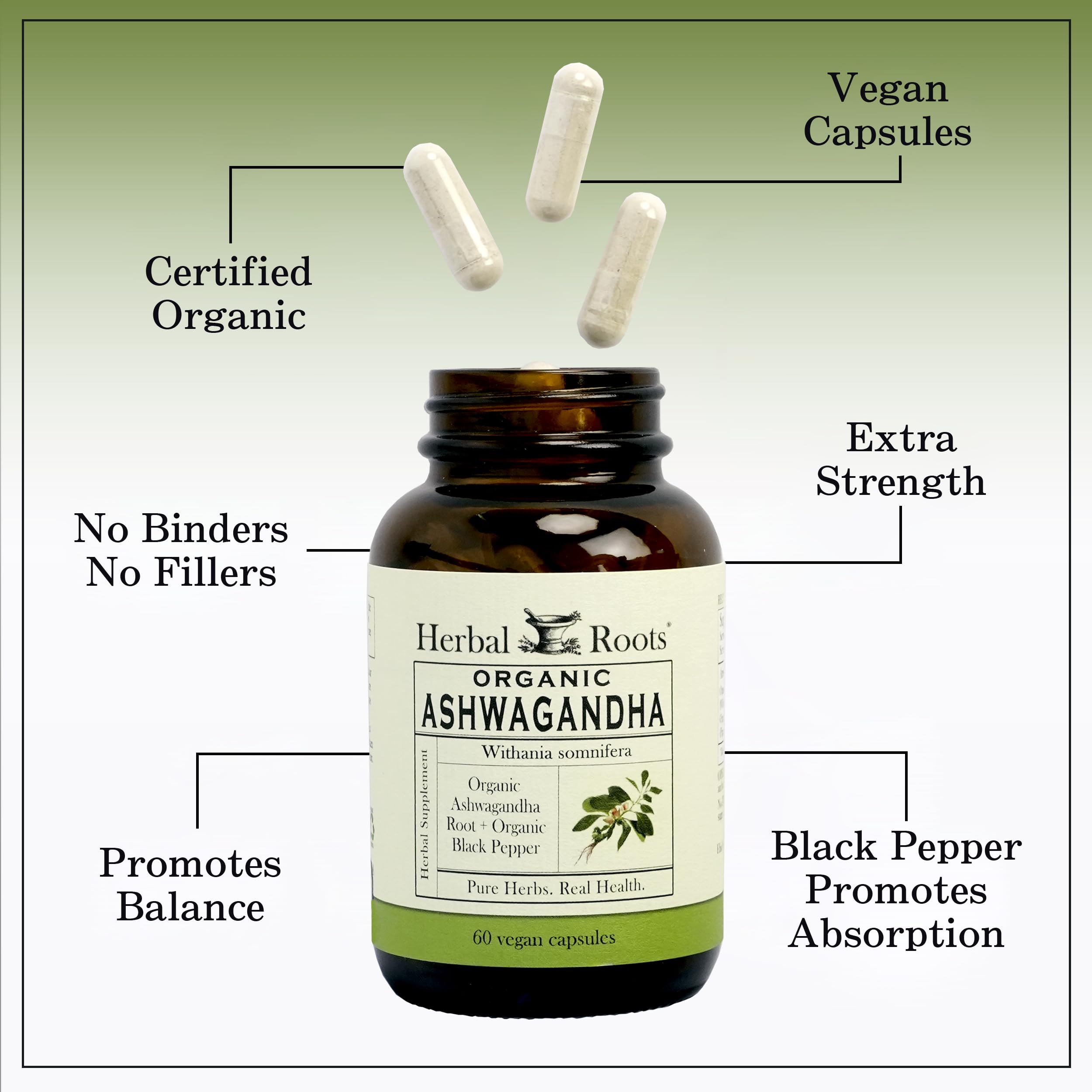 Herbal Roots Ashwagandha: étiquette claire indiquant énergie et calme potentiels.