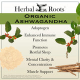 Herbal Roots Ashwagandha: capsules visibles, soutien potentiel au sommeil.