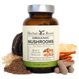 Herbal Roots boîte compléments 8 champignons soutien potentiel au bien-être quotidien.