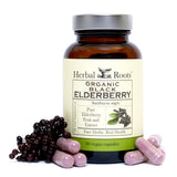 Bouteille Herbal Roots de gélules au sureau noir, soutien quotidien potentiel.