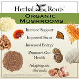 Logo USDA biologique et contrôle cgmp sur l'emballage Herbal Roots.