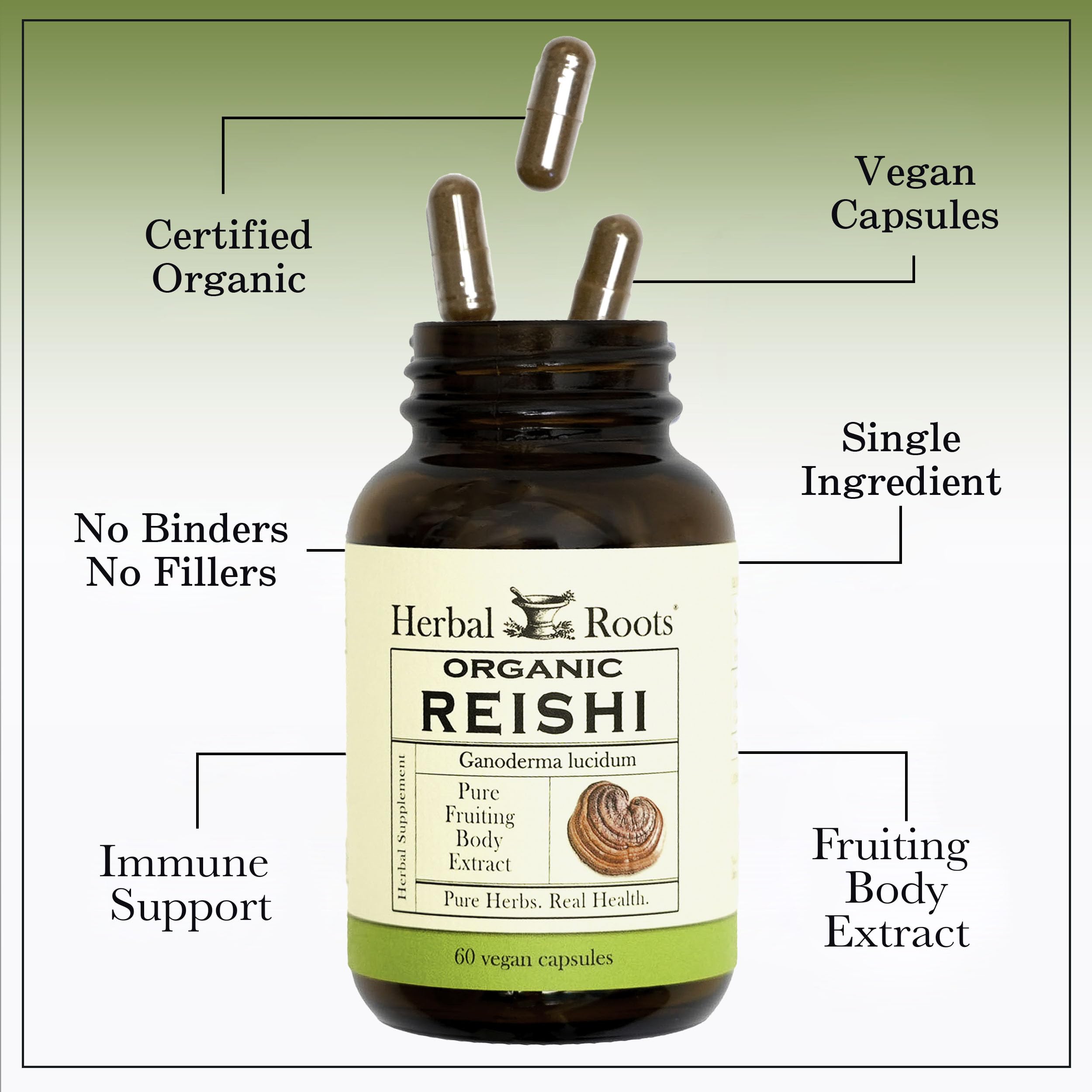 Herbal Roots Reishi: santé cardio et bien-être général, dans une diète vegan.