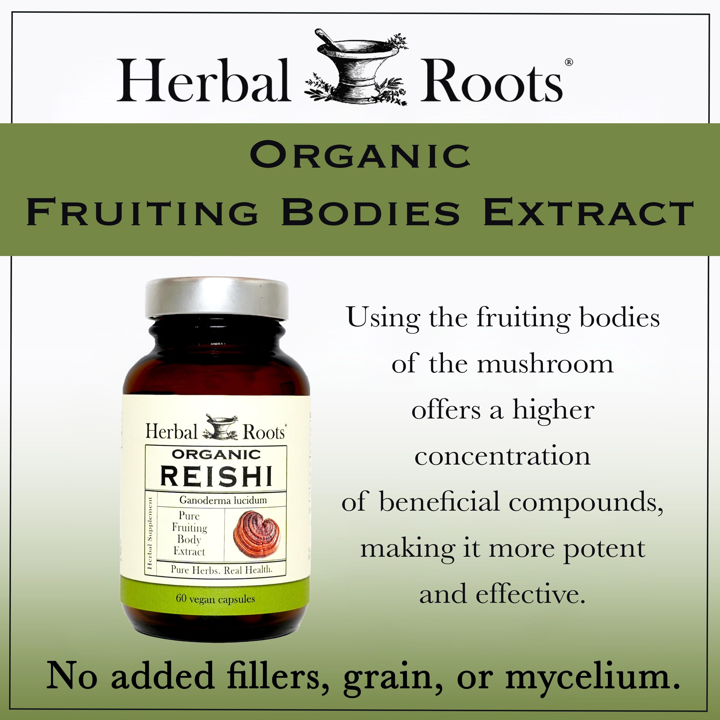 Soutien immunitaire potentiel avec Herbal Roots Reishi, capsules véganes et bio.
