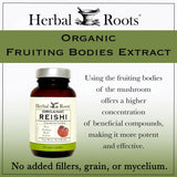 Soutien immunitaire potentiel avec Herbal Roots Reishi, capsules véganes et bio.