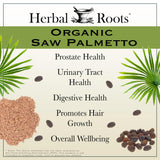 Herbal Roots Saw Palmetto: formule pure sans additifs.