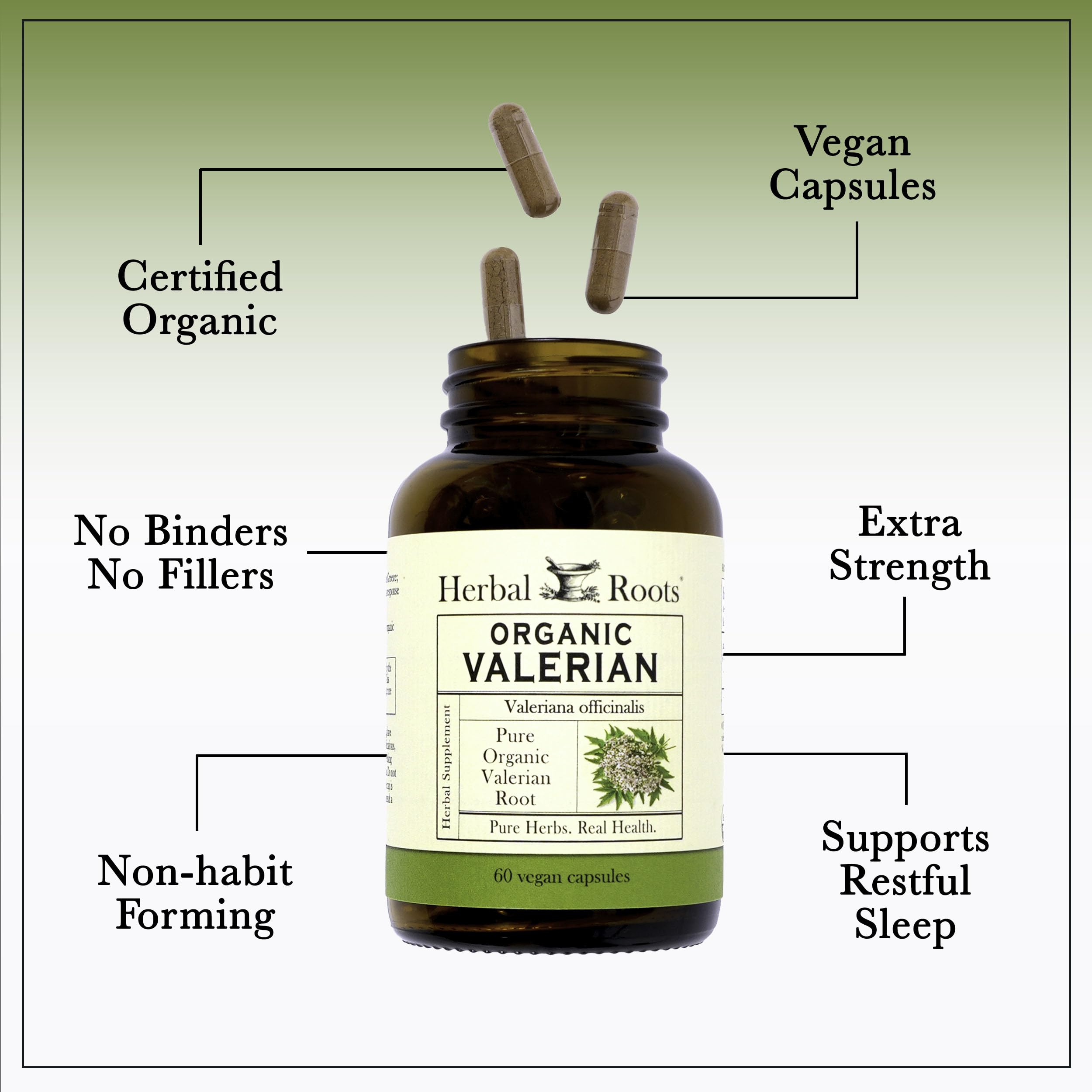 Herbal Roots Valériane Gélules – capsules faciles à avaler et formulation végétale