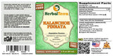 Herbal Terra Kalanchoe Pinnata, feuilles et tiges sèches, intégration facile dans routine bien-être