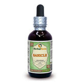 Herbal Terra Sanicle glycerite - bouteille: extrait sans alcool utile pour une utilisation naturelle