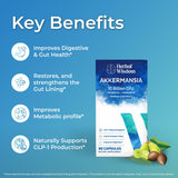 Akkermansia Probiotic – gélules faciles à avaler sans gluten.