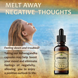 HERBALICIOUS Ashwagandha liquide dans un verre, absorption rapide envisagée.