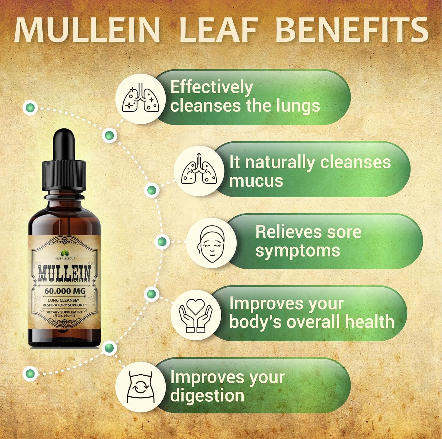 HERBALICIOUS Gouttes Molène – Emballage et format adaptés à une utilisation facilitée.