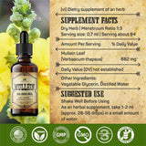 HERBALICIOUS Gouttes Molène – Produit fabriqué aux États‑Unis, norme qualité élevée.