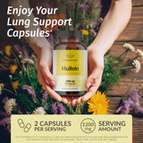 HERBAMAMA Mullein-dose-quotidienne: dose pratique pour le quotidien.