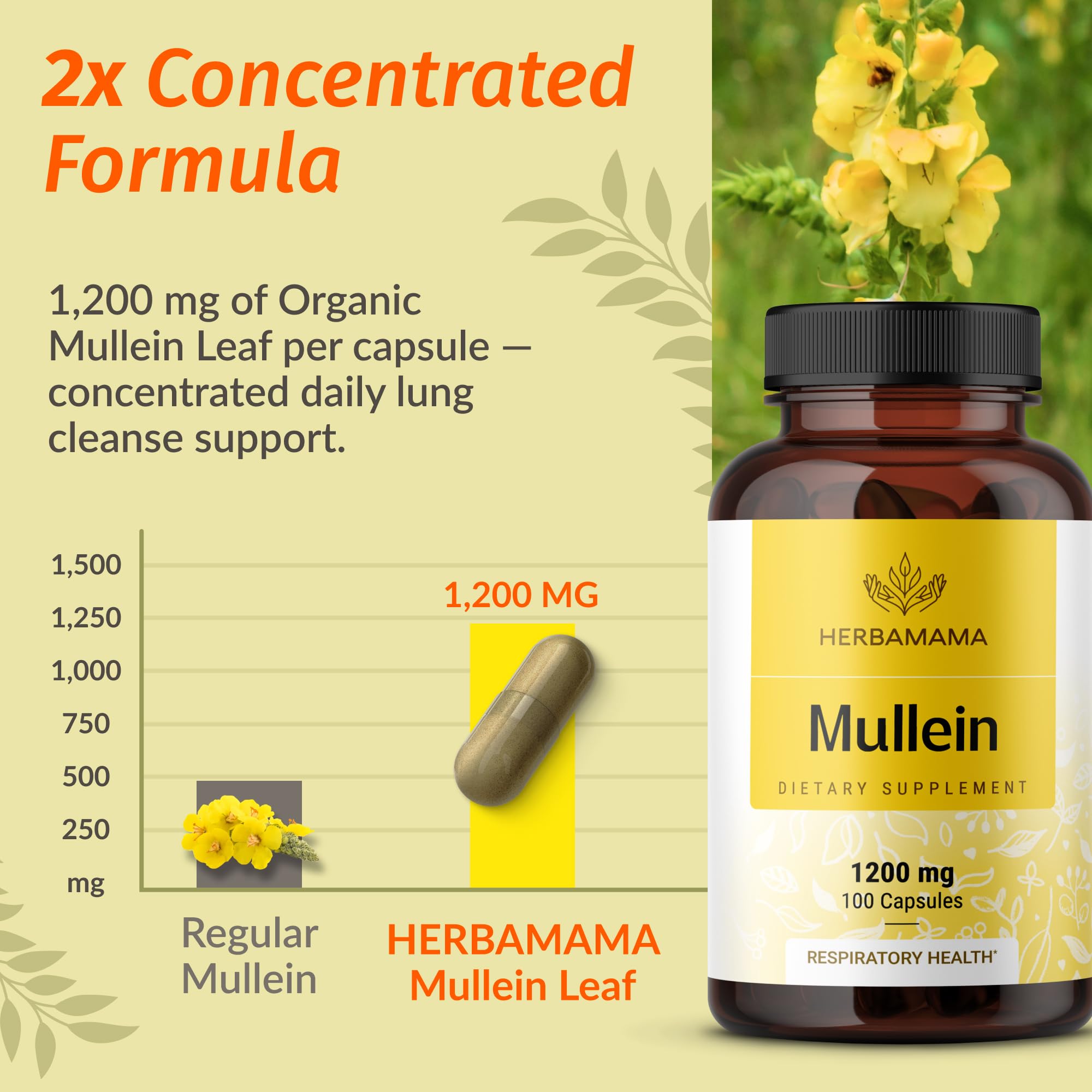 HERBAMAMA Mullein-utilisation-nomade: pratique pour les voyages.
