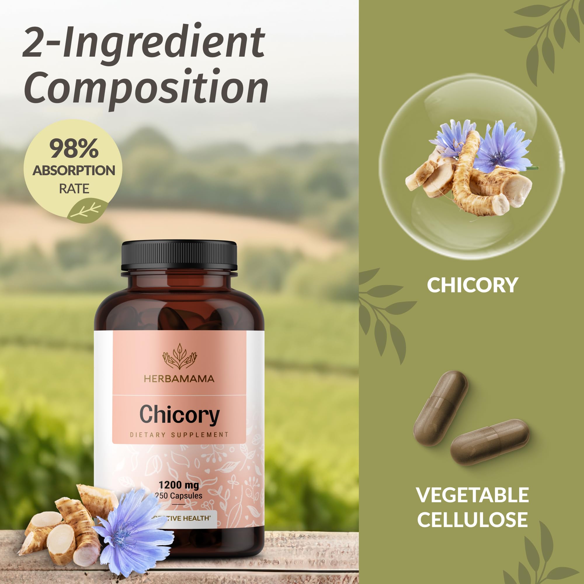 Capsules HERBAMAMA fibre-chicorée emballage, ingrédient végétal sans additifs pour le quotidien.