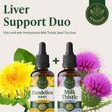HERBAMAMA Dandelion Root Tincture - compte-gouttes: absorption rapide dans le corps.