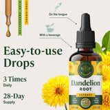 HERBAMAMA Dandelion Root Tincture - notice: utilisation quotidienne en trois fois.