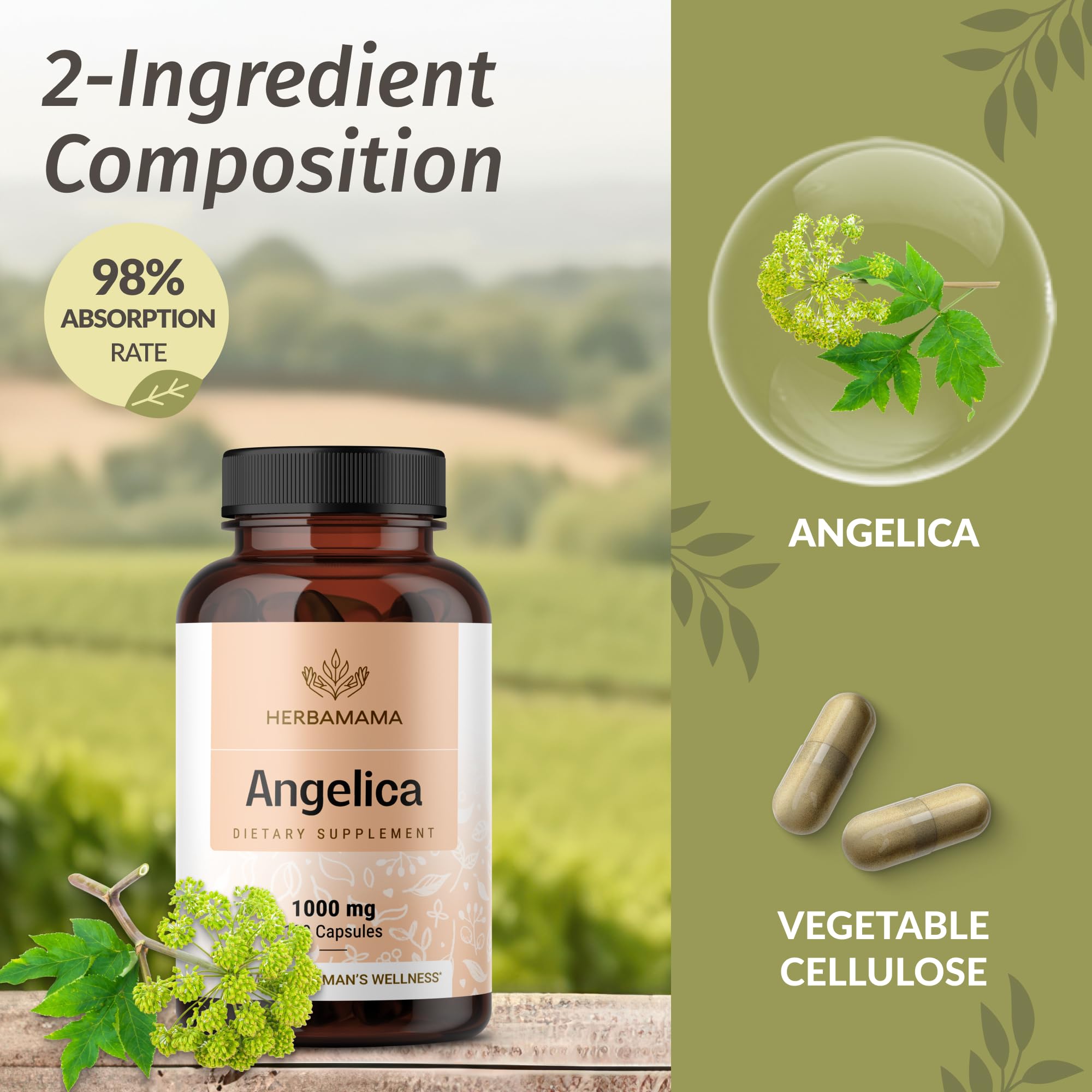 Zoom sur la formule simple à deux ingrédients et sa facilité de digestion.