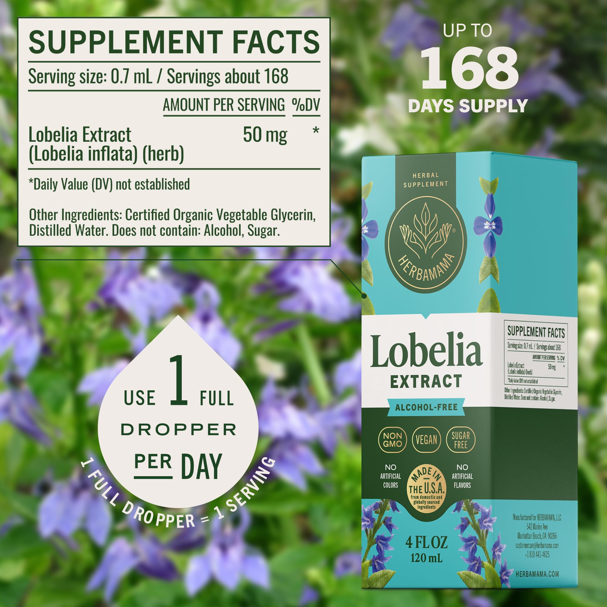 Extrait-feuille Lobelia Herbamama, préparation naturelle sans alcool.