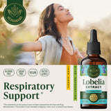 Gouttes Lobélie Herbamama avec dosage précis pour detox pulmonaire doux.