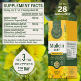 Ingrédients naturels: Mullein, échinacée et réglisse pour un profil végétal.