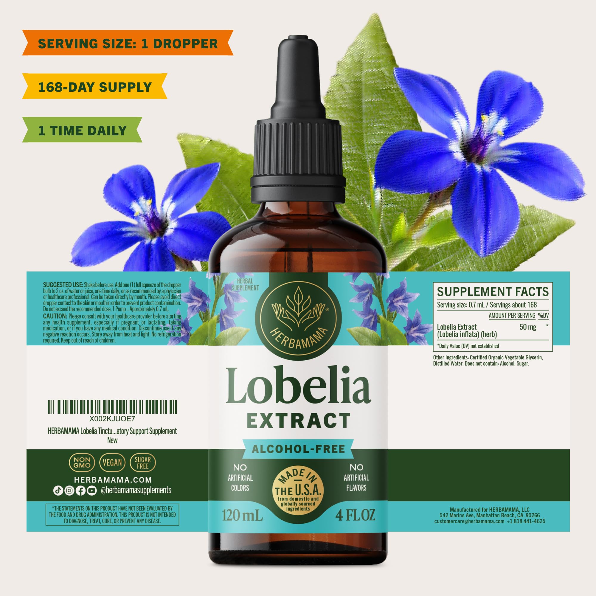 Routine quotidienne avec Herbamama Lobélie pour soutien pulmonaire naturel.