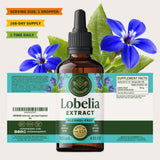 Routine quotidienne avec Herbamama Lobélie pour soutien pulmonaire naturel.