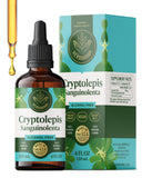 HERBAMAMA Teinture Cryptolepis présente une bouteille prête à l’emploi pour un soutien quotidien.