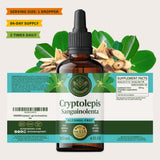 Format 84 jours d’usage potentiel avec HERBAMAMA Cryptolepis offrant une routine pratique.